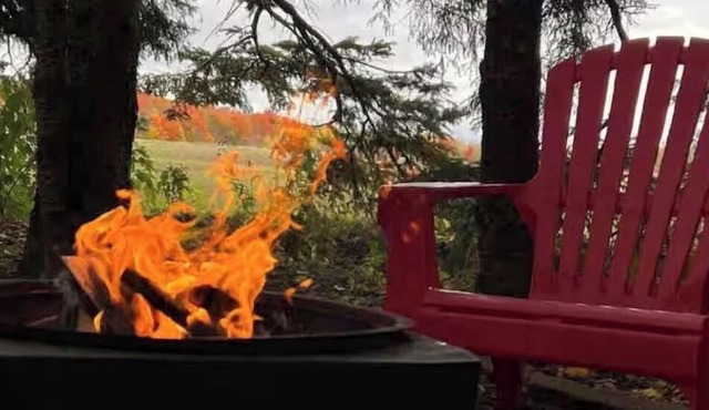 Belwood Bunkie Escape & Spa minutes away from Elora