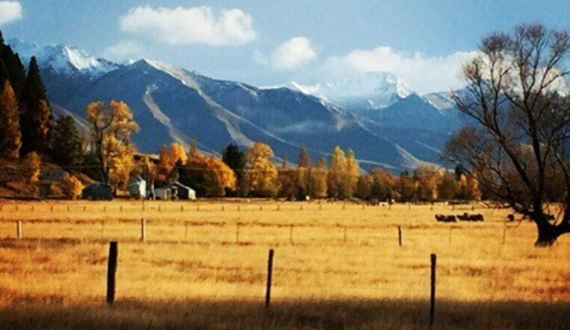 Ben Ohau High Country Station
