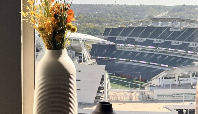 Bengals, King Bed, Free Parking