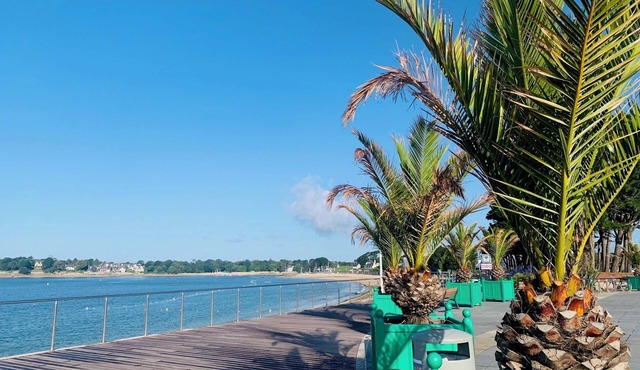 Benodet 100m sea, charming T2 3⭐️ very bright new terrace sea view