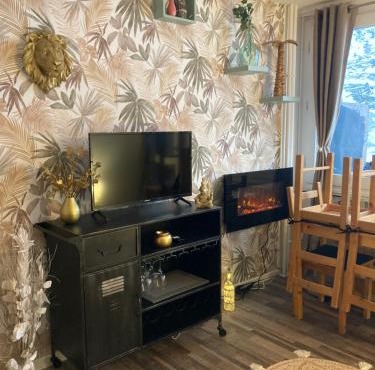 Berger des Pyrénées Pied de pistes avec terrasse