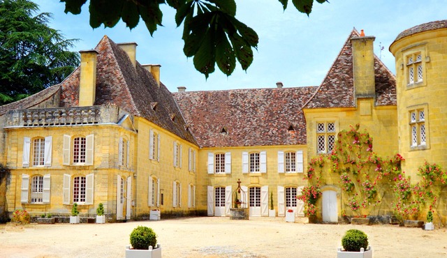 Bergerac/Sarlat, Historical Château, 247acres, amazing view, very quiet 10people