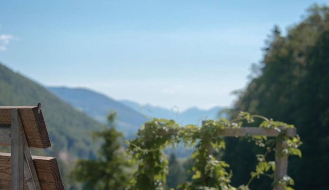 Berghof Montpelon by Interhome