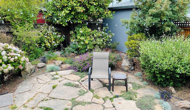 Berkeley/Albany 2 BR Home. Perfect for couples, families, new grandparents!