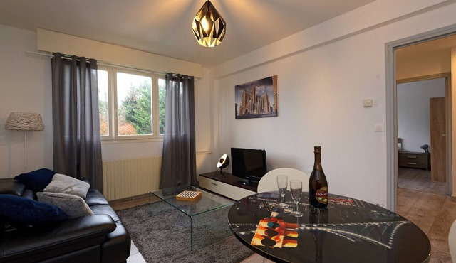 BERNANOS: Near City Center - Gare - Pompidou - Broadband Internet WIFI