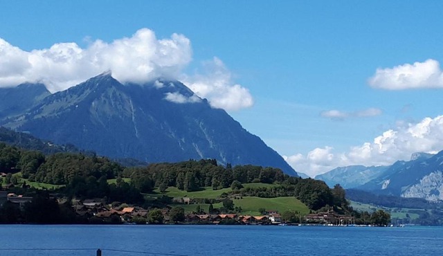 Berner Oberland Am Thunersee