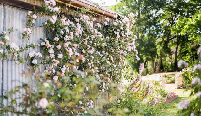 Berrima Bakehouse Motel