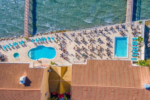 Beso del Sol Resort in Dunedin - Perfect Location & Relaxation!