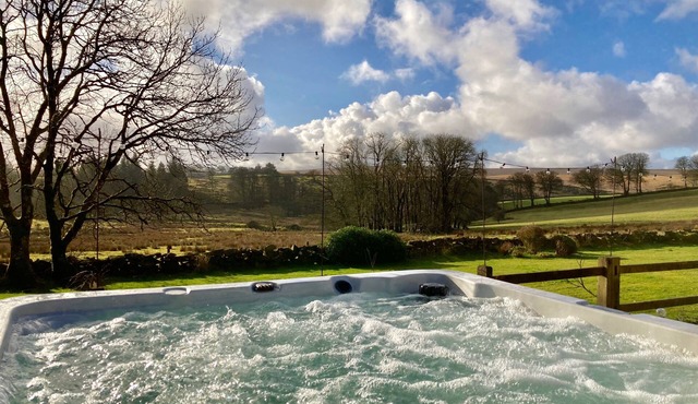 Bespoke country house in the heart of Dartmoor with hot tub and private grounds.