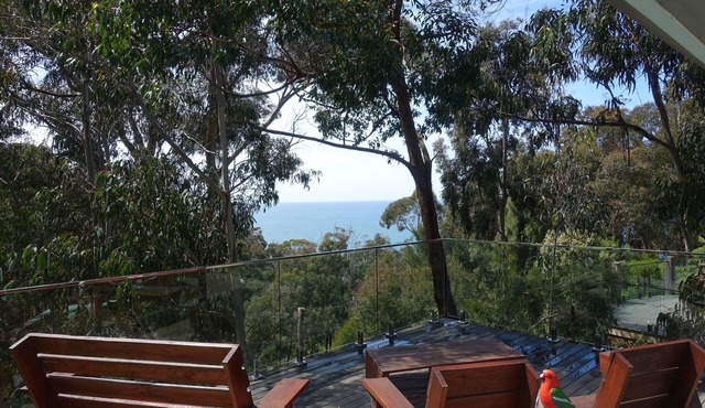 Bespoke house in the trees with ocean views.