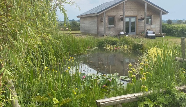 Bespoke Log Cabin in idyllic surroundings