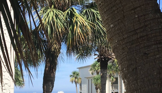 Best Beach view condo 2 story 2br 1.5ba views of ocean,pool & intercoastal.