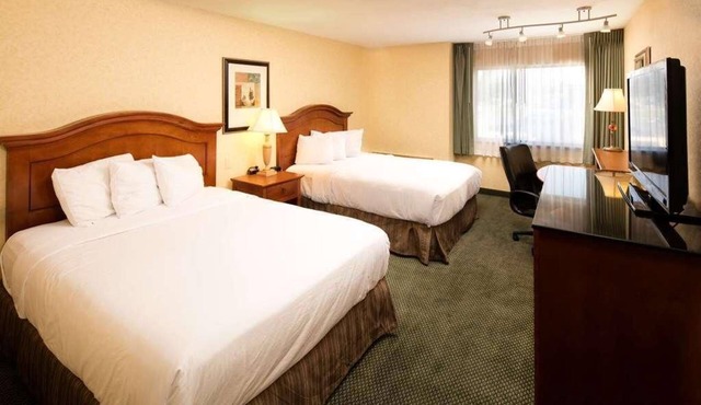 Best Choice! 3 Spacious Units, With Outdoor Pool and Free Parking!