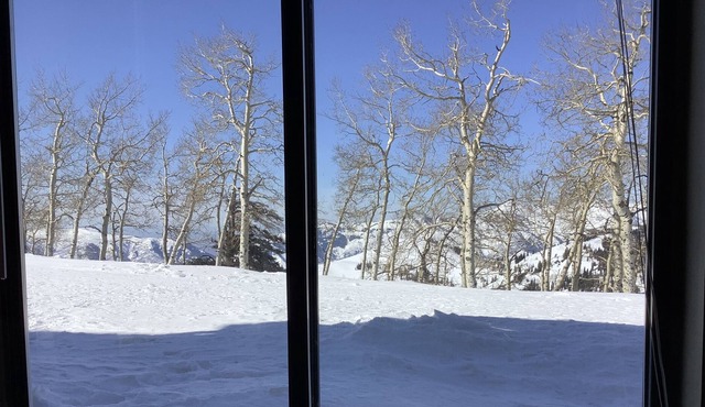 Best Deal!! 1BR/1BA Ski-in/out At Powder Mountain - Rare Slopeside Accommodation