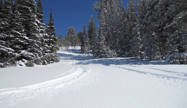 Best Deal!! 2BR/2BA Ski-in/out At Powder Mountain - Rare Slopeside Accommodation