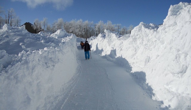 Best Deal! 3BR/3BA Ski-in/out At Powder Mountain - Rare Slopeside Accommodation