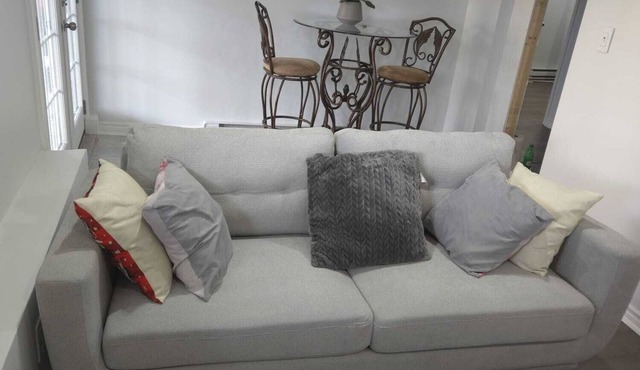 Best Family Friendly appartement and peaceful nGateway heart of Ottawa On.