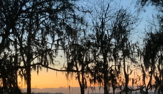 Best kept secret-peaceful, lakeside villa on George's Lake