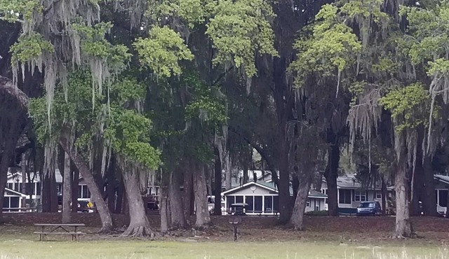 Best lake view cottage #21 at Salt Springs Resort