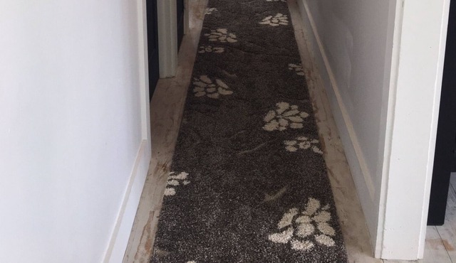 Best Location - New Renovation - Walk to Everything