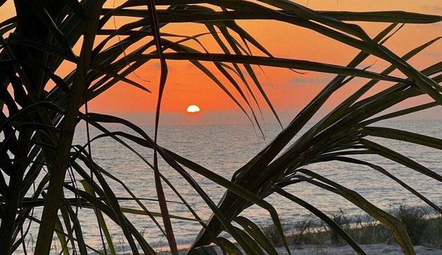 Best Location on Manasota Key, Cottage Sleeps 3, Kayaks and Wi-Fi