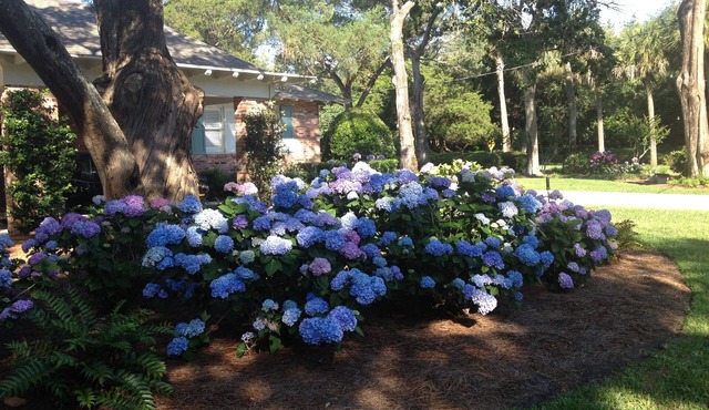 BEST LOCATION ON SEA ISLAND-ONLY 2 BLOCKS to CLOISTER HOTEL & BEACH CLUB