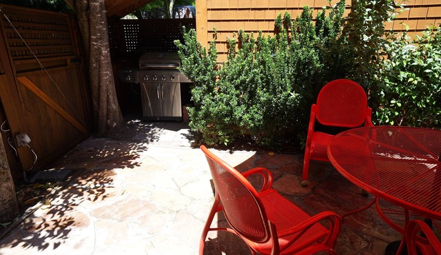 Best Mill Valley Location, PETS OK, High End, Gourmet, long term starts May 15