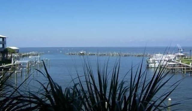 Best of Both Worlds, Unbelievable Views, I have another unit if booked.