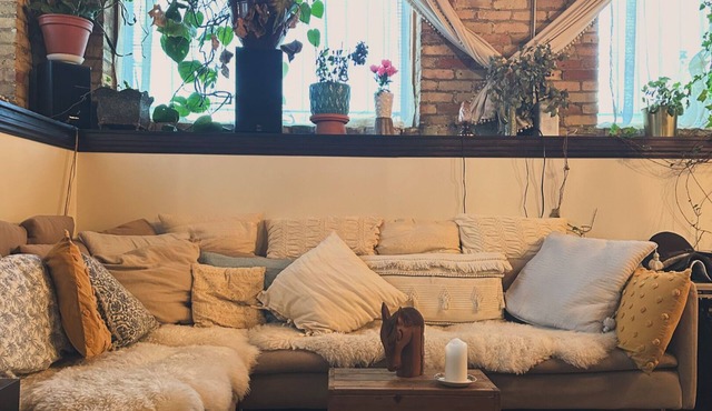 Best original hard loft in town