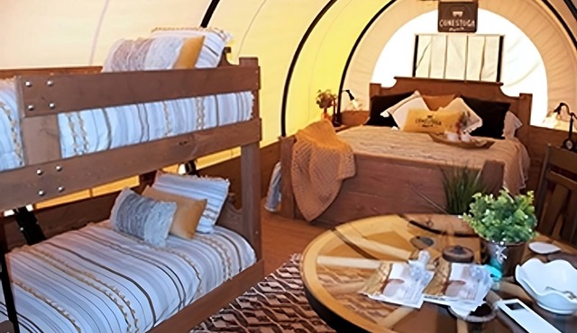 Best Place to Unwind! Free Parking, Water Sports Activities!