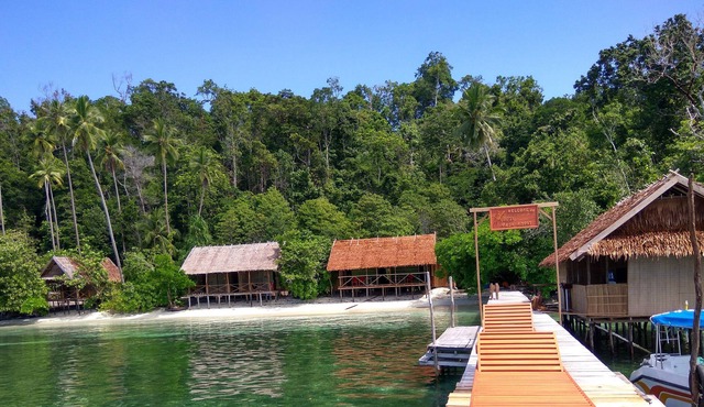 Best rajaampat homestay. the best spot for snorkling and diving mansuar island,,