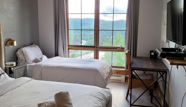 Best ski-in/out, Fully Renovated, Infinity Pool, Hot-Tub, 2 Car Heated Parking