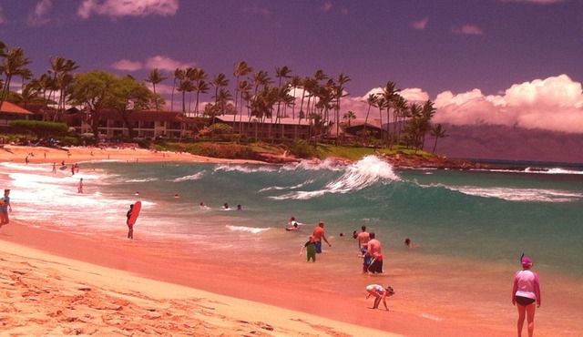 Best Swimming in the World Across the Street; Best Golf Out the Back Door!