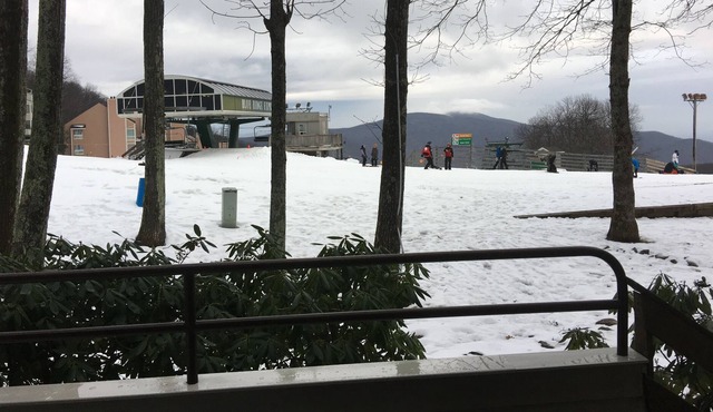 Best True "Ski-In, Ski-Out" 2 Bedroom Condo at Wintergreen, Beautiful, like new.