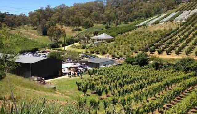 Best value 3 bedroom upstairs unit with balcony. 1 bathroom. 1 free car park. Unlimited NBN WIFI inc