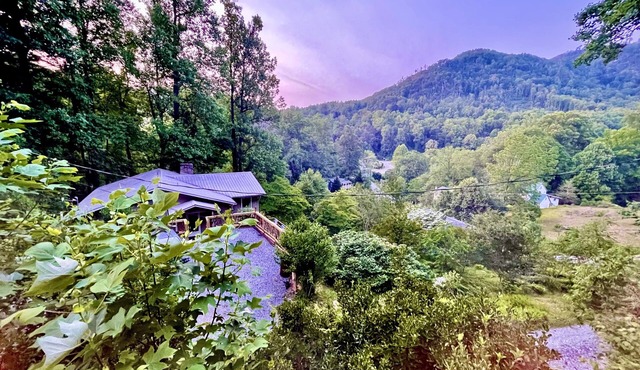 Best View in Bat Cave