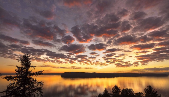 Best View of Puget Sound