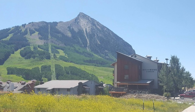 Best view of the mountain - Top Floor Mt. CB Condo - 2B/1BA