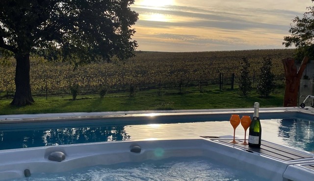 Best view on the Champagne vineyard