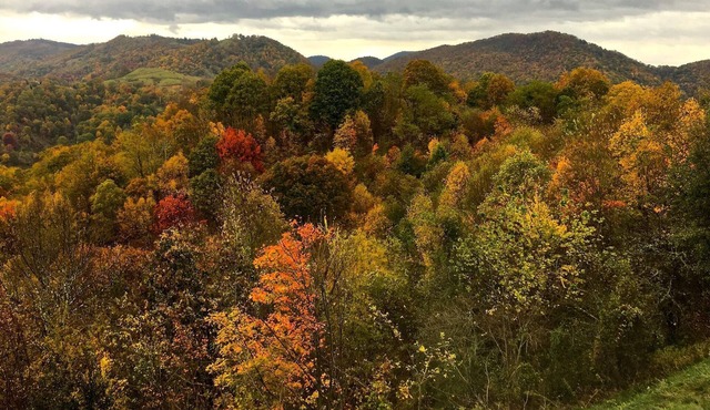 Best Views in the mountains by far on Run Away Ridge! Ultimate Privacy