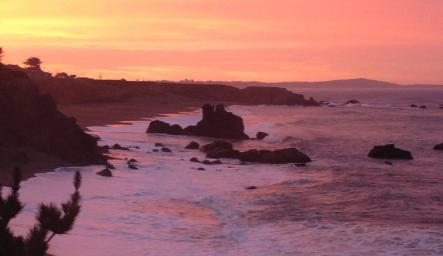 Best views on Sonoma Coast!Oceanfront,private hot tub, fire pit, pets considered