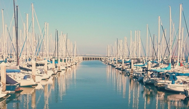 Best Western Geelong Motor Inn & Serviced Apartments