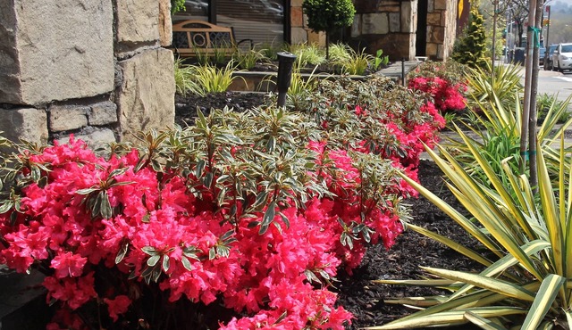 Best Western Queens Gold Coast