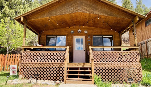 Bethany's Vallecito Lake Cabin #1