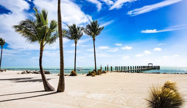 Better Choice for your Vacation! 2 Comfortable Units, Beachfront, Outdoor Pool
