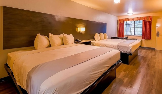 Better Choice for your Vacation! With Outdoor Pool Access, and Free Parking!