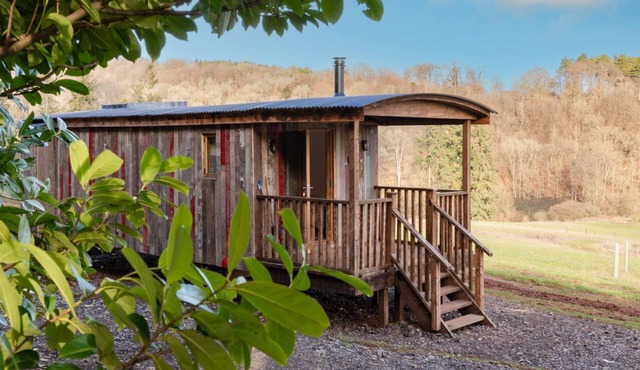 Betty Shepherd's Hut - sleeps 2 guests in 1 bedroom