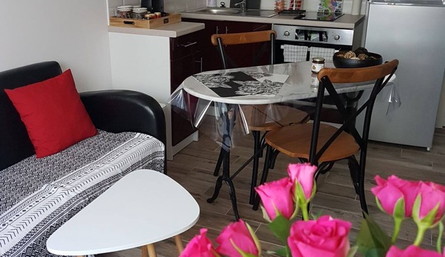 BETWEEN BORDEAUX AND ARCACHON. charming gite LE PETIT PRINCE PESSAC.3 *