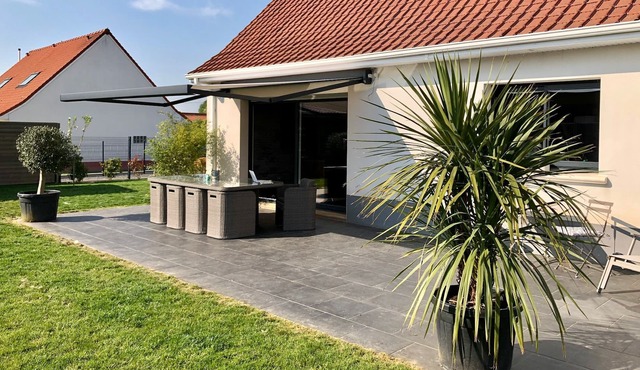 Between capes and opal marshes