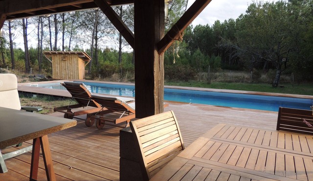 BETWEEN DEER AND ROE DEER